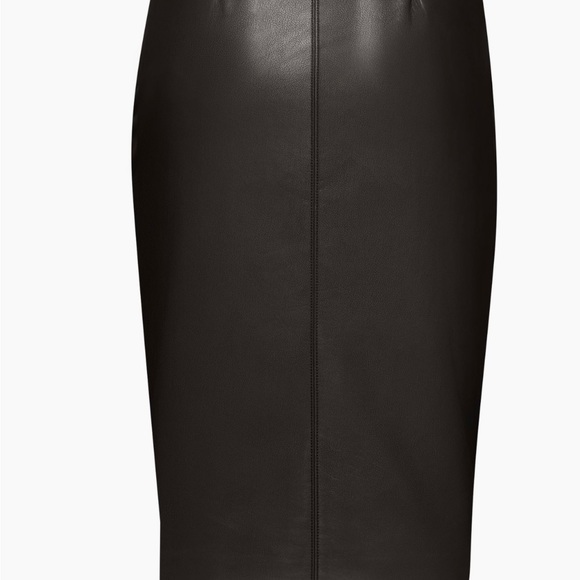 TODAY: Aritzia Pegu Skirt - Picture 2 of 9